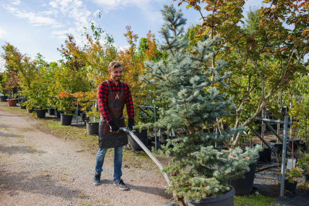 Best Tree and Shrub Care  in Cadiz, KY