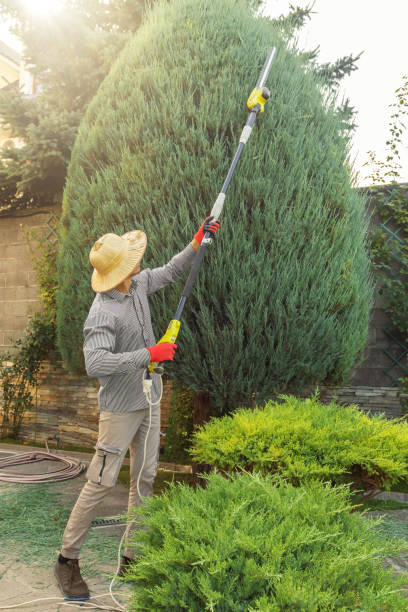 Best Tree Mulching Services  in Cadiz, KY